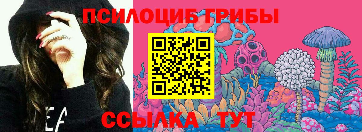 Галлюциногенные грибы GOLDEN TEACHER  Вход с VPN  Новомосковск 